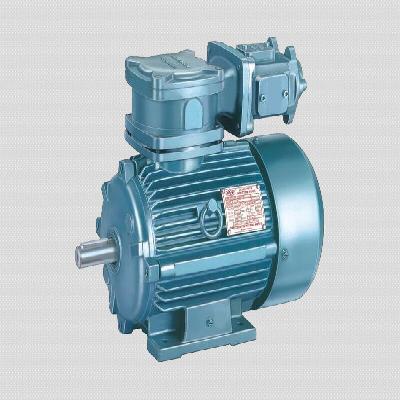 Flange Motors