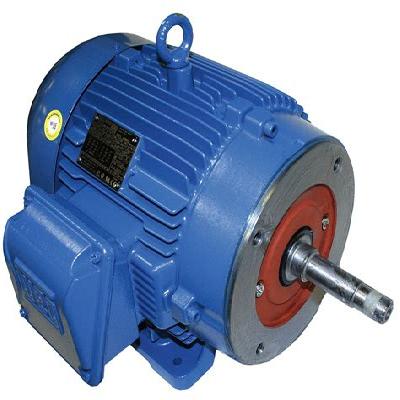 Three Phase Motor