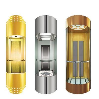 Capsule Passenger Lift