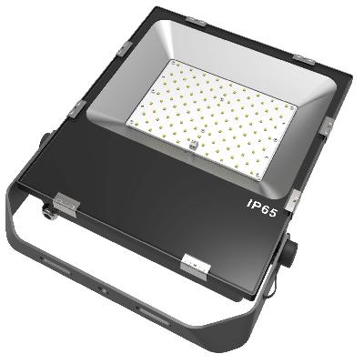 100W LED Flood Light