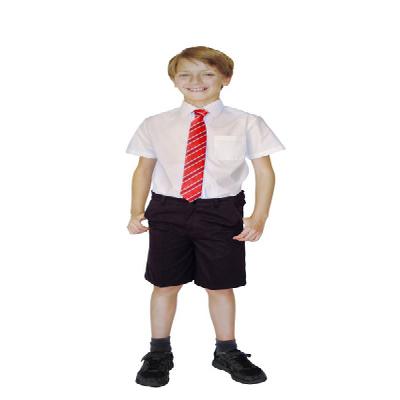 School Uniform Shirts And Shorts