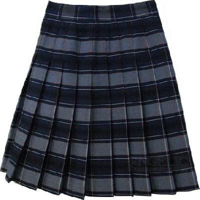 School Girls Pleated Skirt
