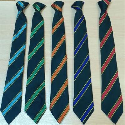 School Uniform Ties
