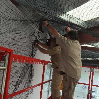 Residential Anti Bird Netting