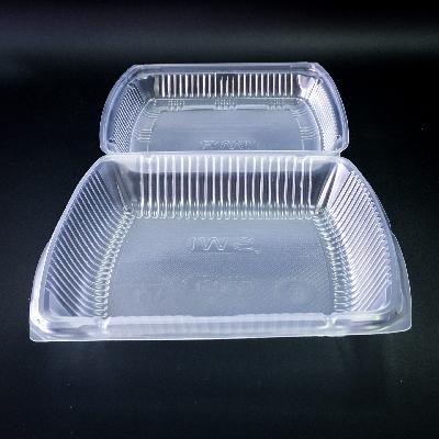 PP Sandwich Boxes