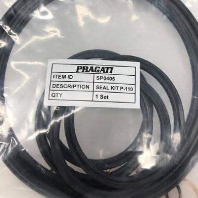 Pragati Chucking Cylinder Seal Kit