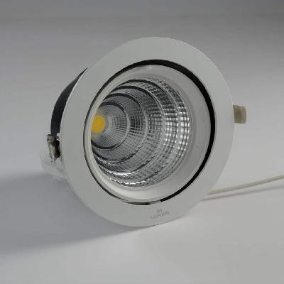 LED COB Light