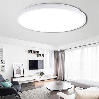 22W LED Ceiling Light