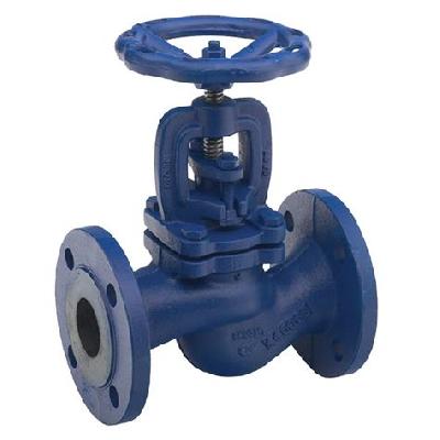 CI Globe Valve