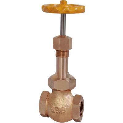 Elems Steam Safety Valve