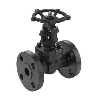 Forged Steel Gate Valve