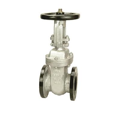IBR Gate Valve