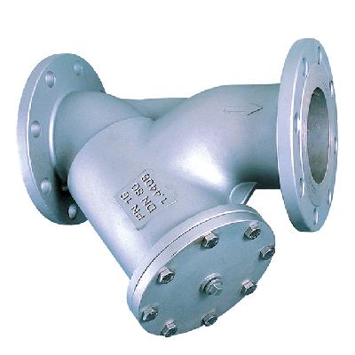 Y Strainer Flange End