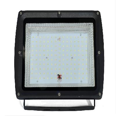 100W LENS MODEL FLOOD LIGHT