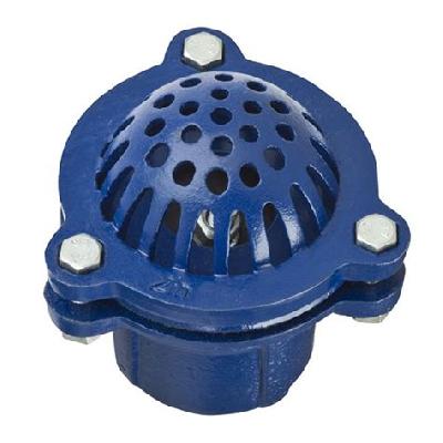 Cast Iron Foot Valve