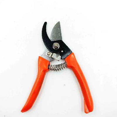 Garden Flower Cutter