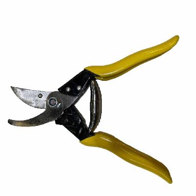 Iron Garden Pruning Cutter