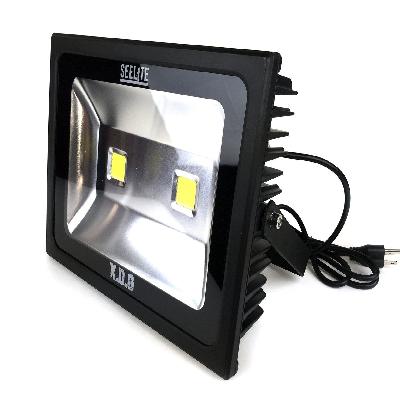 Floodlight 100 W