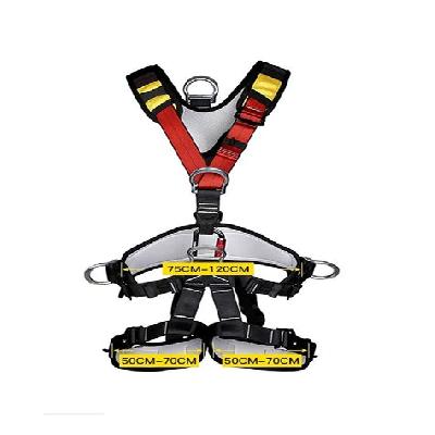 Full Body Safety Belt