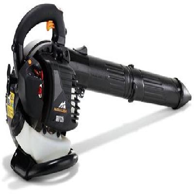 Garden Blower