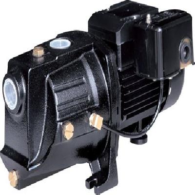 Domestic Shallow Well Pumps