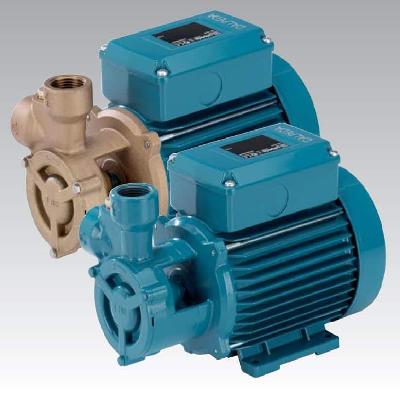 Regenerative Monoblock Pumps  Peripheral Pumps