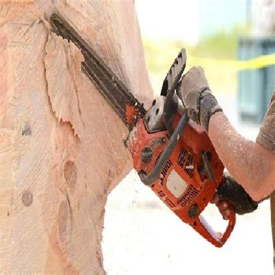 Carving Chainsaws