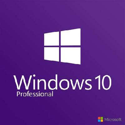 Microsoft Windows 10 Professional