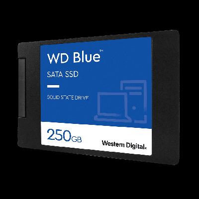 Western Digital WD Blue 250 GB 2.5 inch SATA III Internal Solid State Drive (WDS250G2B0A)