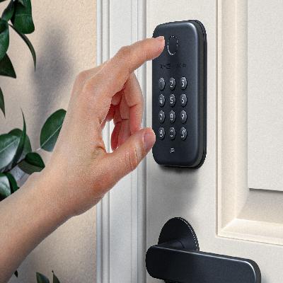 Biometric ESSl Bolt Lock