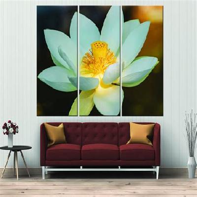 Lotus Canvas Board