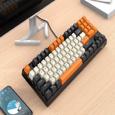 Mechanical Keyboard