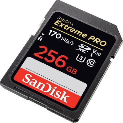 Sandisk Memory Card