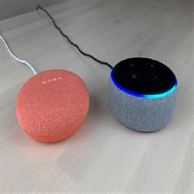 Google Nest Mini
