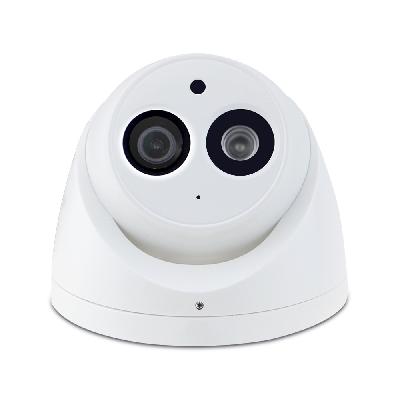 Dahua 6MP WDR IR Dome Network Camera
