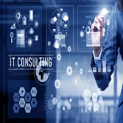 Enterprise It Consulting Service