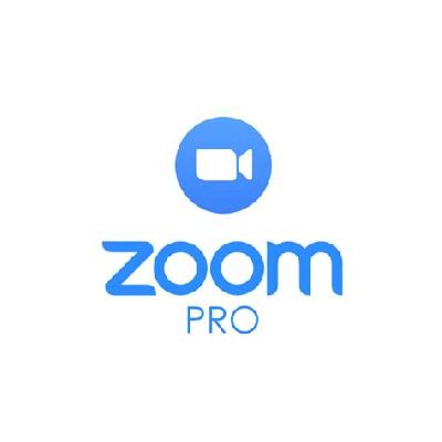 Zoom Pro License
