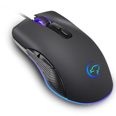 Computer Mouse