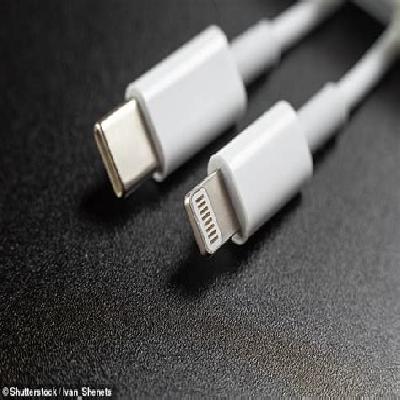 DHCP iOS Cable