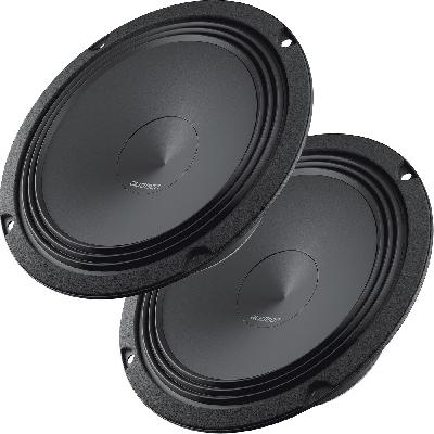 Class D 5 Woofer Speaker