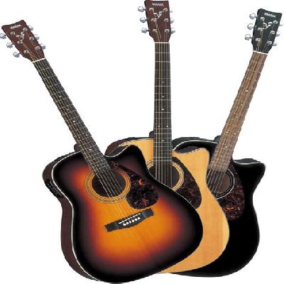 Electro Acoustic Guitar