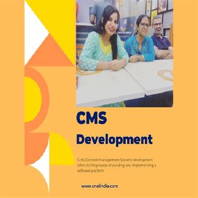 CMS Development Service