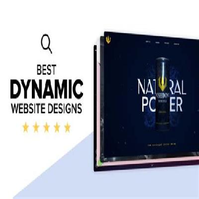 Dynamic Website Development For Decorative Lighting