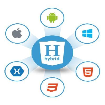 Hybrid Application Development Service