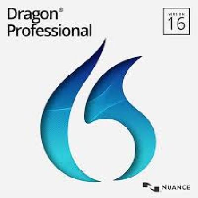 Dragon Professional