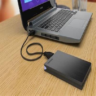 Stone Portable Hard Drive