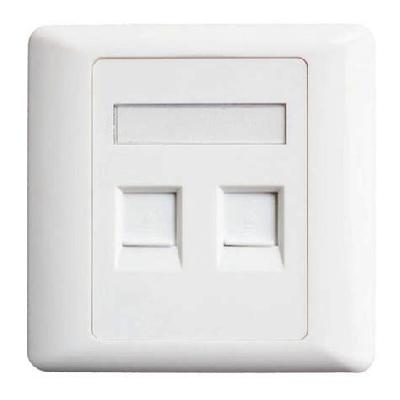 PVC Dual Port Face Plate