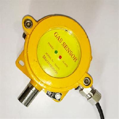 Wireless Burglar Motion Sensor