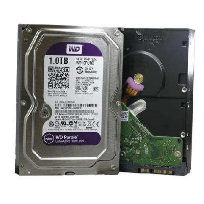 Western Digital Purple 1TB HDD