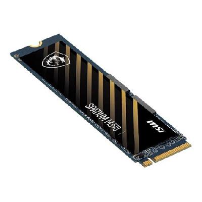MSI Spatium M390 Nvme M.2 Solid State Drive